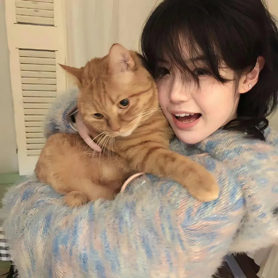 寒蝉鸣泣之时：猫杀篇